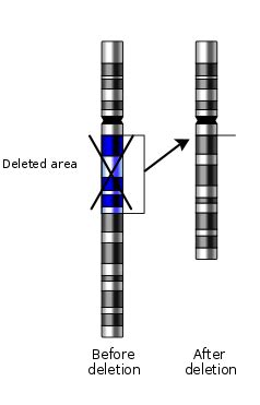 Deletion Mutation - Biology Simple