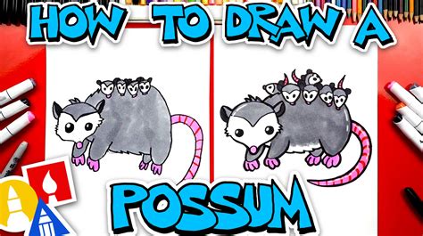 Possum Drawing