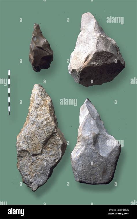 TOOLS USED BY HOMO ERECTUS C. 50TH. MILLENNIUM. THE STONE TOOL IS ...