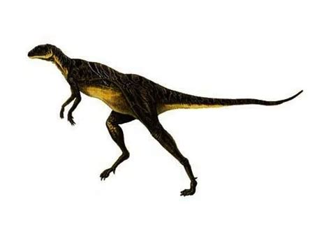 Lesothosaurus | Description, Size, Fossil, Diet, & Facts