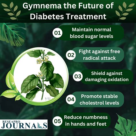 Gymnema the future of diabetes treatment