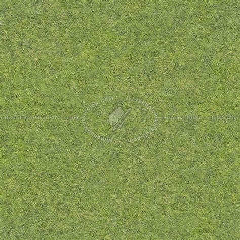 Green grass texture seamless 12977