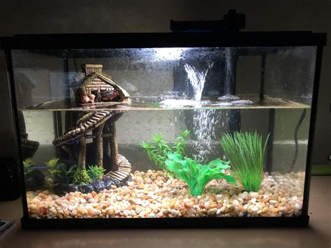 Red Claw Crab Tank : r/Aquariums