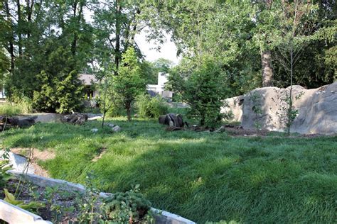 Detroit Zoo - Giant Anteater habitat - Summer, 2016 - ZooChat