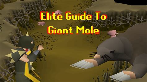 Giant mole guide osrs