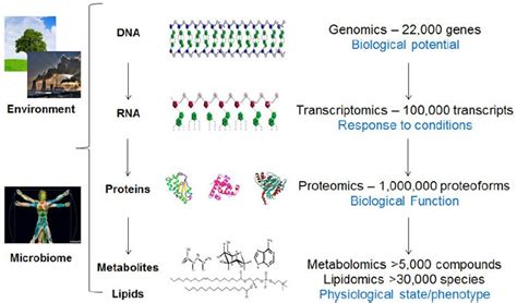 Practical Guide to Metabolomics | Thermo Fisher Scientific - CA