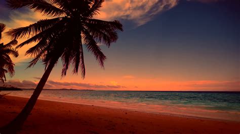 Tropical Sunset Wallpaper Desktop (68+ images)