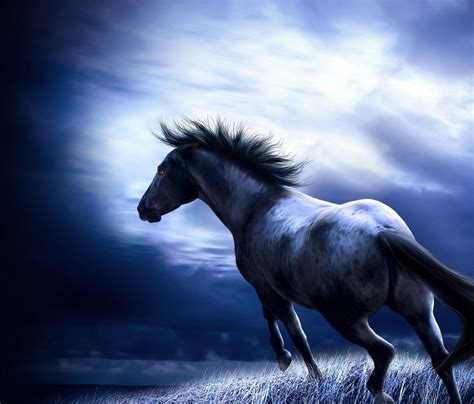 🔥 [75+] Free Horse Screensavers And Wallpapers | WallpaperSafari