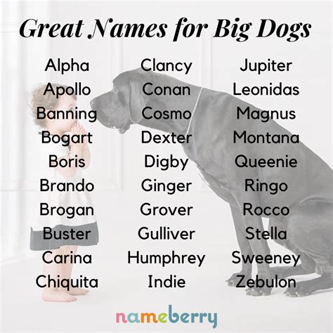 101 Great Names for Big Dogs | Big dog names, Dog names, Puppy names