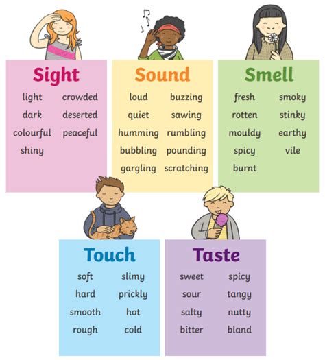 What is sensory language and writing? Wiki. - Twinkl