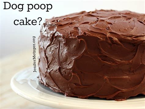 Jenifer Metzger : Dog Poop Cake?