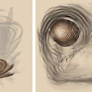 Volume illustrations of flow around the X38 spacecraft. (a) is an ...