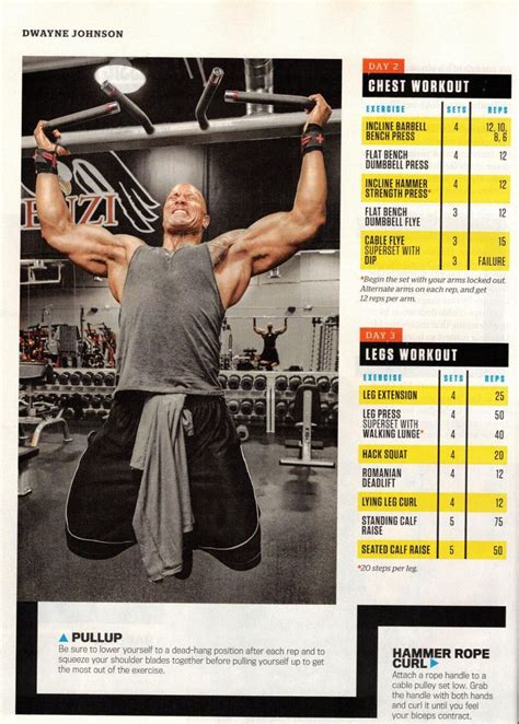 The Rock Chest and Legs Workout | The rock workout, The rock workout ...