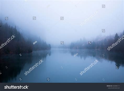 931,094 Forest reflection on lake Images, Stock Photos & Vectors ...