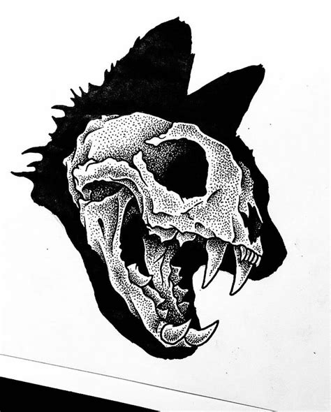 cat Skull Art Drawing - Stefan Urlaub