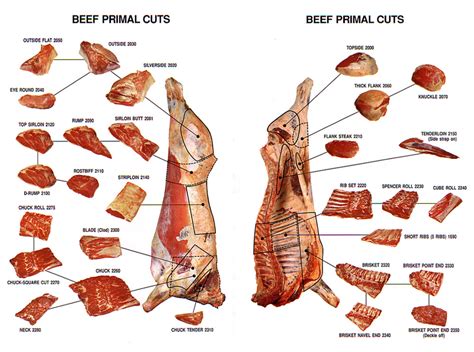 Beef Cuts - News - Brookwood