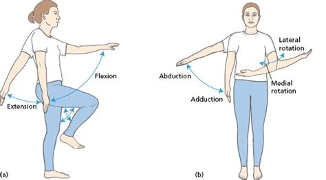 Movement terminology | Musculoskeletal Key