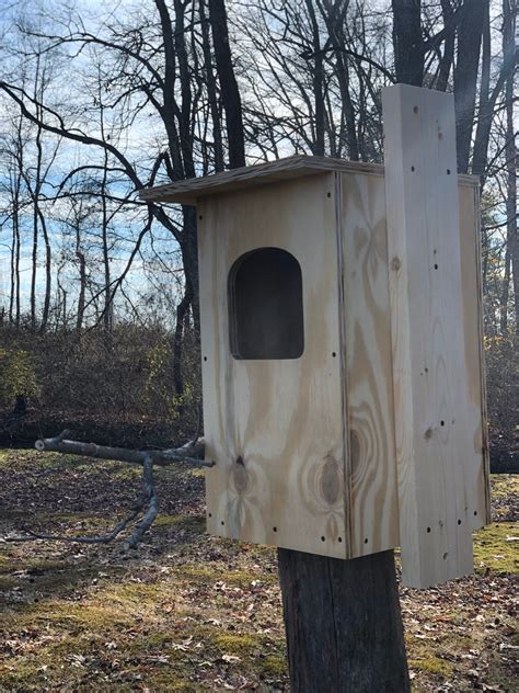 Barred Owl Nest Box Custom Options Available | Etsy