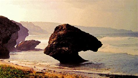 Bathsheba Rocks Photograph by Ian MacDonald | Fine Art America