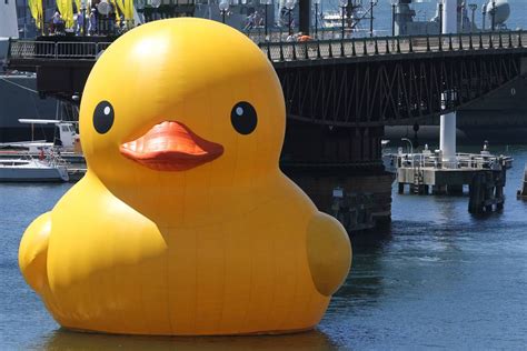 This giant rubber duck : r/ReviewsOfAnything