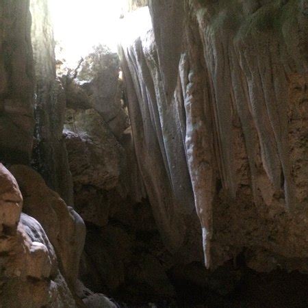 Cayman Brac Caves - 2019 All You Need to Know BEFORE You Go (with ...