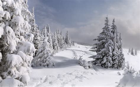 nature, Landscapes, Winter, Snow, Seasons, Trees, Mountains, Sky ...