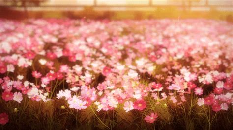 コンプリート！ flower field gif 218961-Anime flower field gif