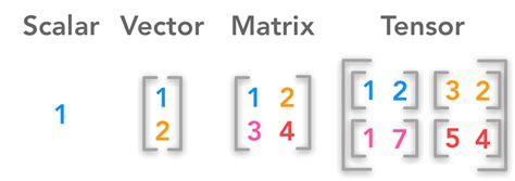 Introduction to Scalars Vectors Matrices and Tensors using Python/Numpy ...