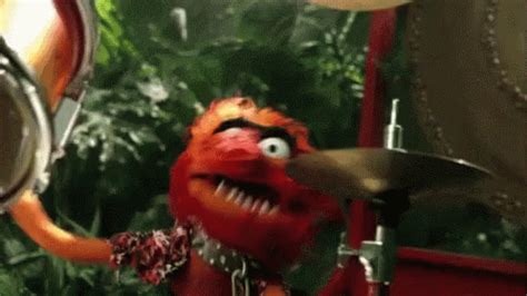 Animal Muppets GIFs | Tenor