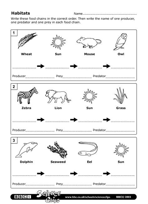 BBC - Schools Science Clips - Habitats Worksheet | Food chain worksheet ...