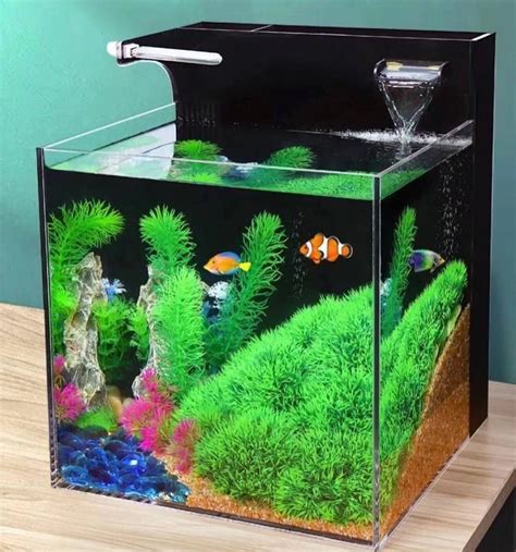 Small Fish Tank Goldfish | Goldfish Tank Filter | Small Goldfish ...