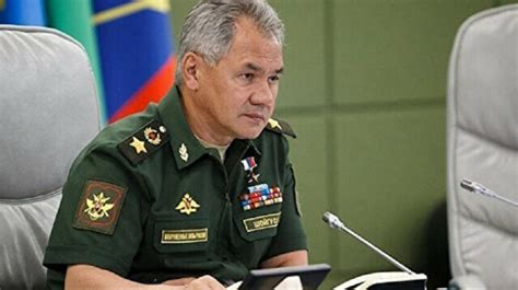 Partial mobilization of troops completed, Russian DefMin says | Europe