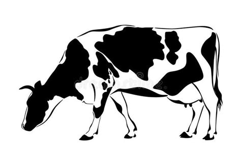 Cow eats grass black silhouette on white background