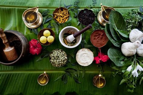 Amazing Ayurvedic Herbs And Their Astounding Effects (Blog 9) — Indus ...