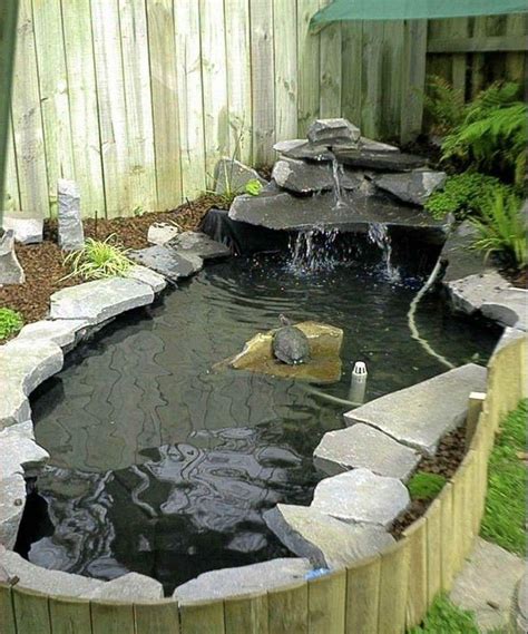 Small Backyard Turtle Pond - Home Design Ideas