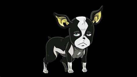 Iggy the Dog from JoJo's Bizarre Adventure - YouTube