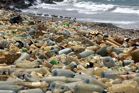 Oceans Need a Rescue From Overfishing, Plastic and Climate Change ...