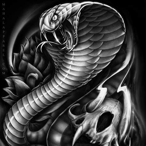 cobra snake tattoo design | Snake tattoo, Snake tattoo design, Cobra tattoo