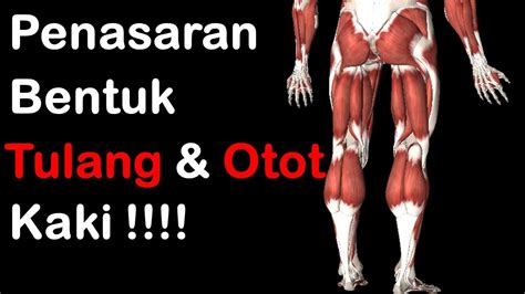 Penasaran Bentuk Tulang dan Otot Kaki !!!!!!!! - YouTube