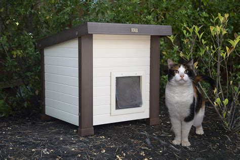 10 Best Outdoor Cat Houses | Reviews + Guide