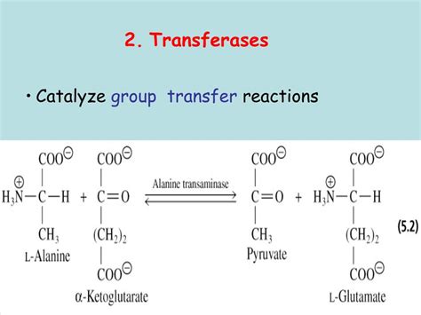 PPT - ENZYMES: CLASSIFICATION, STRUCTURE PowerPoint Presentation, free ...