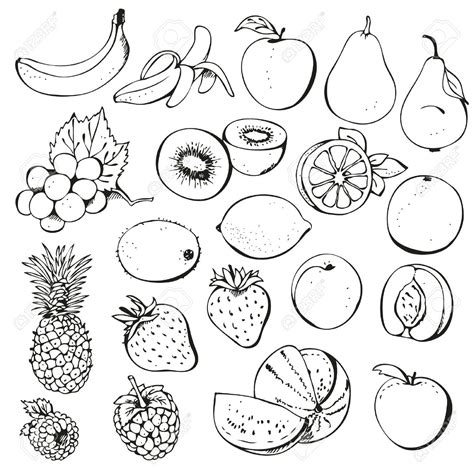 Fruit black and white kiwi fruit clipart black and white clipartfox ...