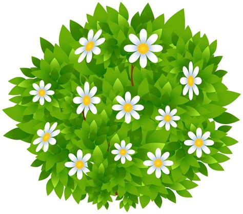 Flowers Bush Transparent PNG Clip Art Image | Gallery Yopriceville ...