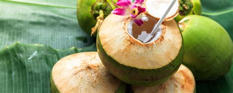 Young coconut vs old coconut benefits: which one is better? - Nutrition ...