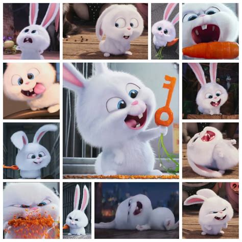 Secret Life of Pets Snowball Collage | La vida secreta de tus mascotas ...