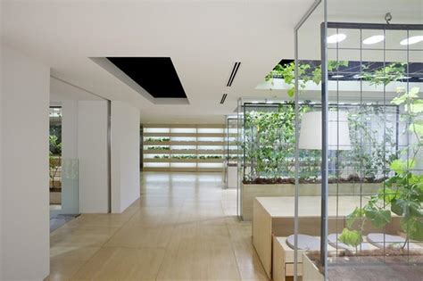 Why Plants are a Must for your Office - Fuze Business Interiors