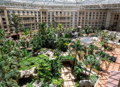 6 Things To Do At Gaylord Palms Orlando Resort