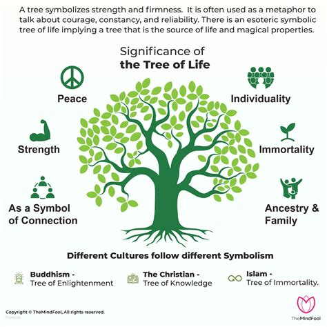 Tree of Life Meaning: What is it and its Symbolism in 2022 | Tree of ...