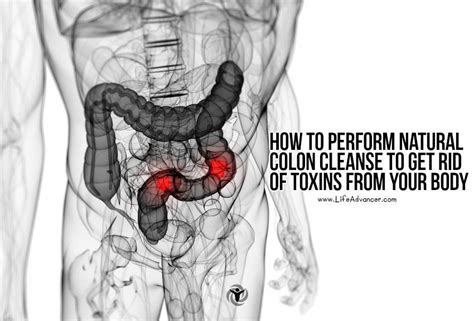 How to Perform Natural Colon Cleanse to Get Rid of Toxins from Your Body