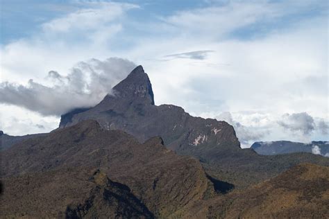 Pico da Neblina, cuando el gobierno brasileño se enteró de la ...